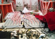 哈工大土木学院墙片静载实验