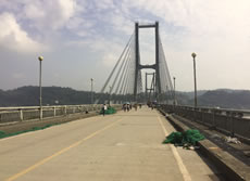 泯江大桥检测（斜拉桥）